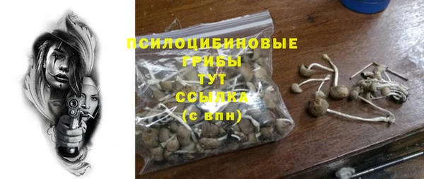 винт Бронницы