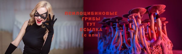 винт Бронницы