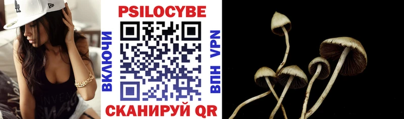 Галлюциногенные грибы Cubensis  Палласовка 